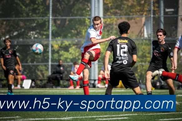 开云体育APP 封面图